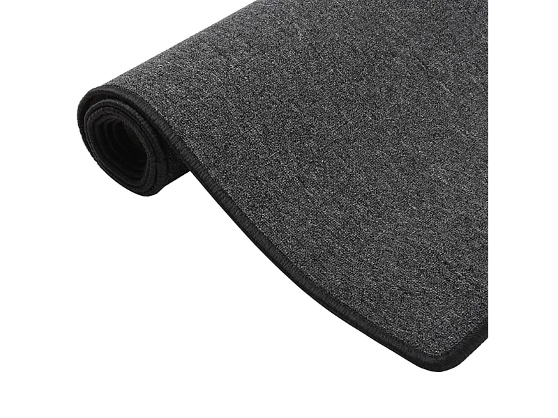 Pelle  Tapis de couloir Anthracite 80x400 cm