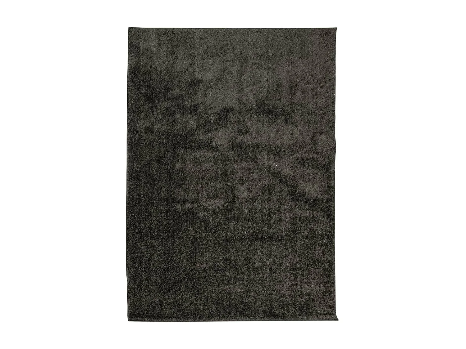 Prolenta Premium -  Tapis ISTAN à poils longs aspect brillant anthracite 240x340 cm