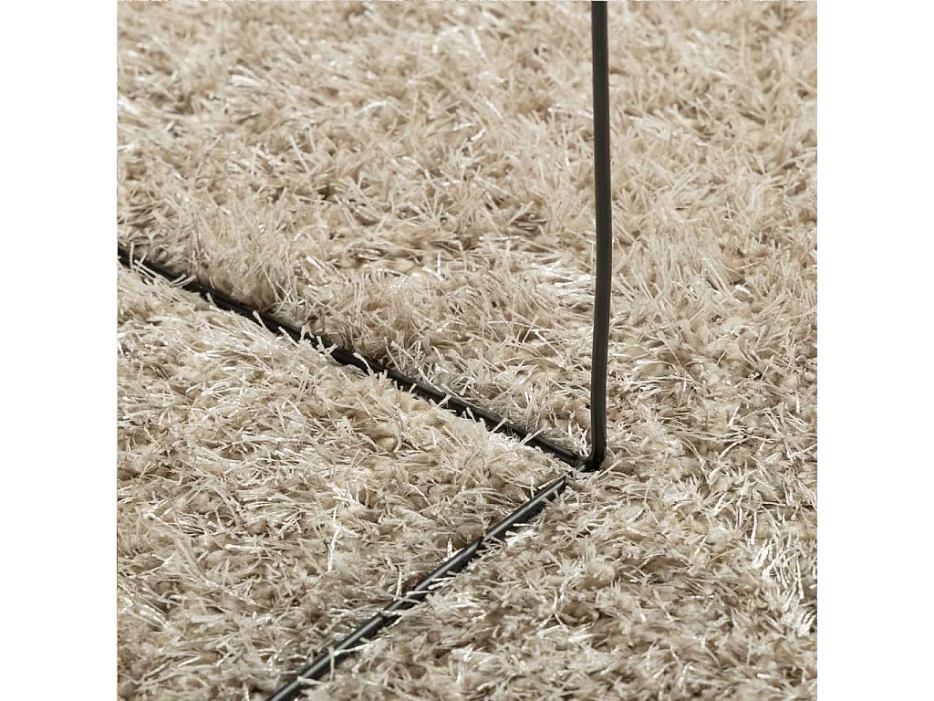Prolenta Premium -  Tapis ISTAN à poils longs aspect brillant beige 120x170 cm