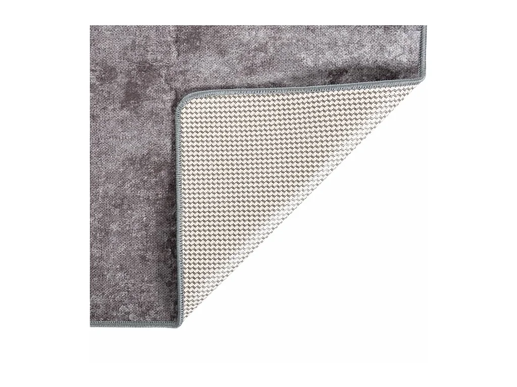Elsje  Tapis lavable antidérapant 160x230 cm gris