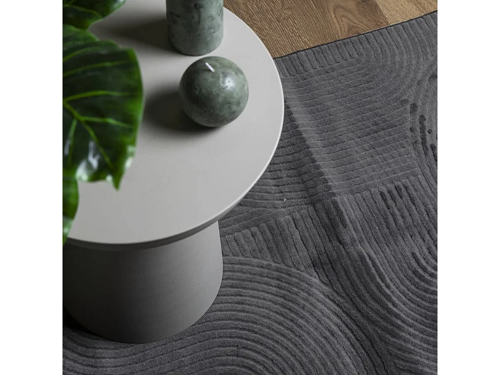 Everlyn  Tapis IZA poils courts style scandinave anthracite 120x170 cm