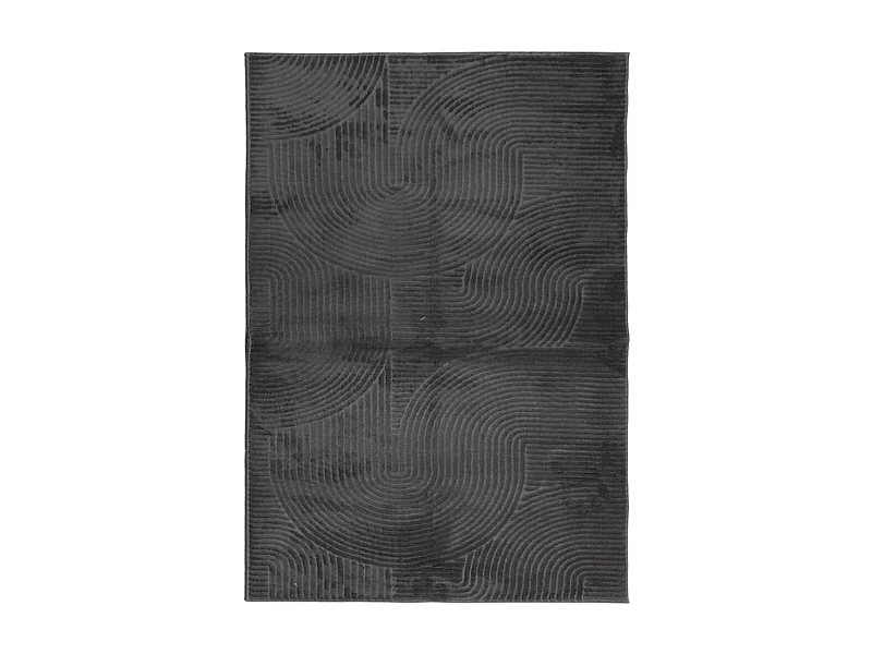 Everlyn  Tapis IZA poils courts style scandinave anthracite 160x230 cm