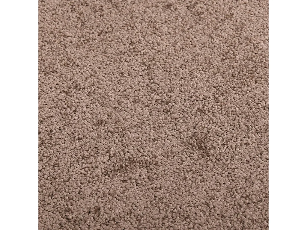 Paillasson Marron 80x120 cm