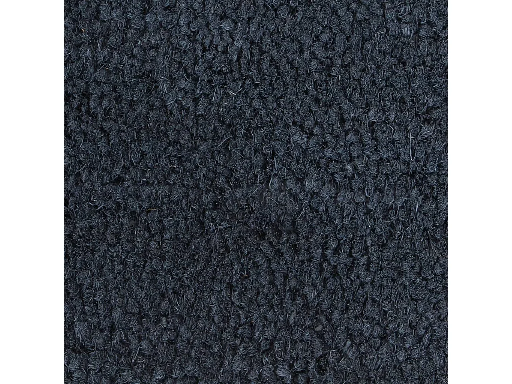 Tapis de porte 2 pcs gris foncé 40x60 cm fibre de coco touffeté