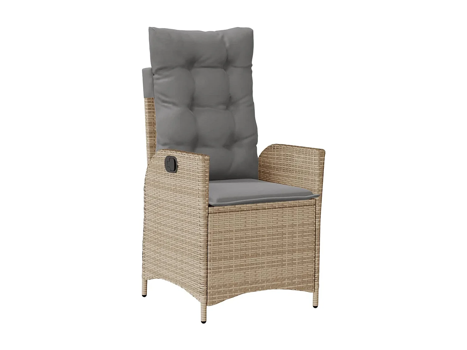 Ensemble à manger de jardin et coussins 3 pcs Beige poly rotin