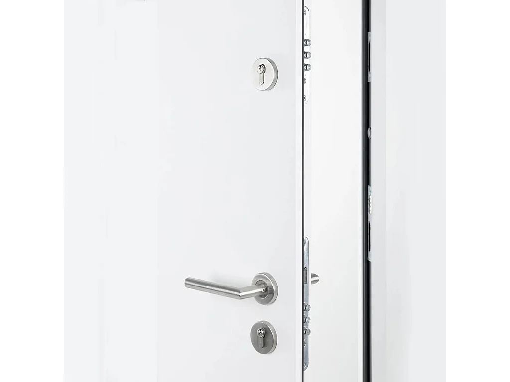 Puerta de entrada blanca aluminio 100x200 cm.