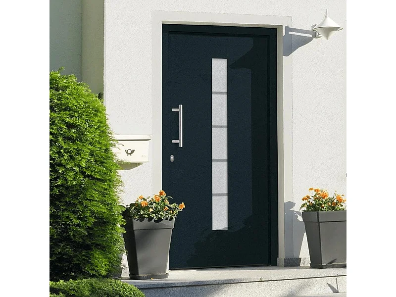 Porta d'ingresso Alluminio e PVC Antracite 100x210 cm