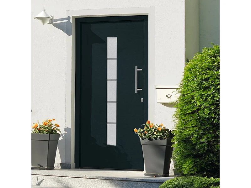 Porta d'ingresso Alluminio e PVC Antracite 110x210 cm