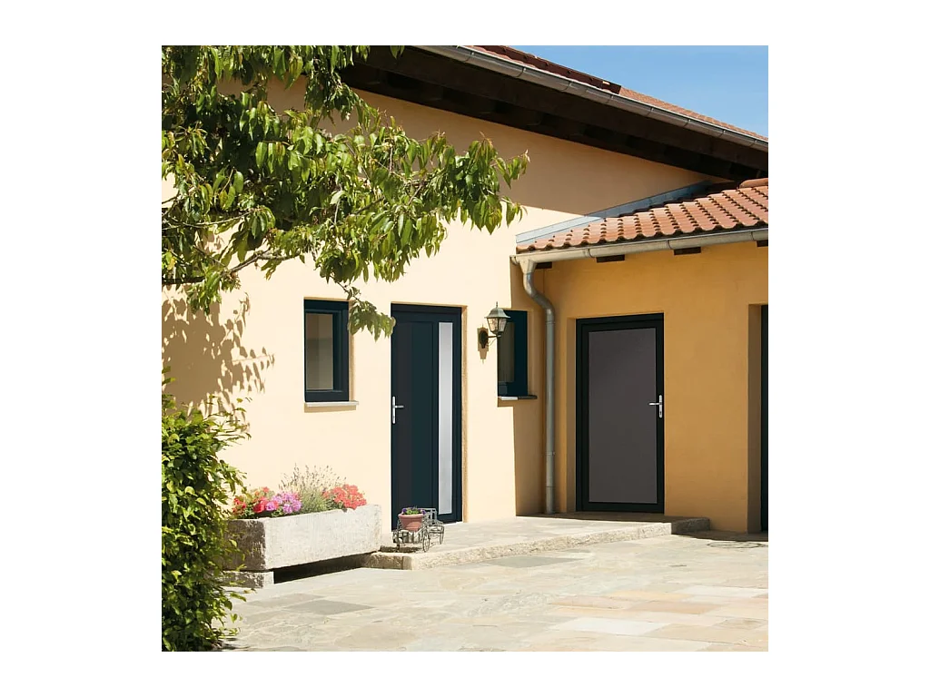 Porte d'entrée anthracite 98x200 cm PVC