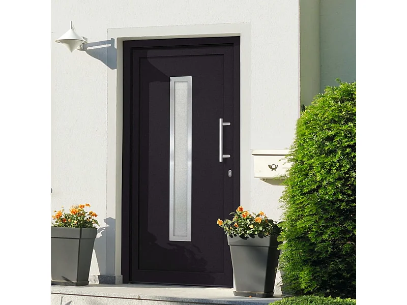 Porta d'ingresso antracite 108x200 cm