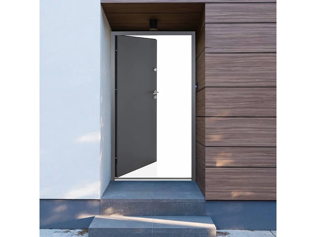 Porte d'entrée anthracite 100x200 cm aluminium