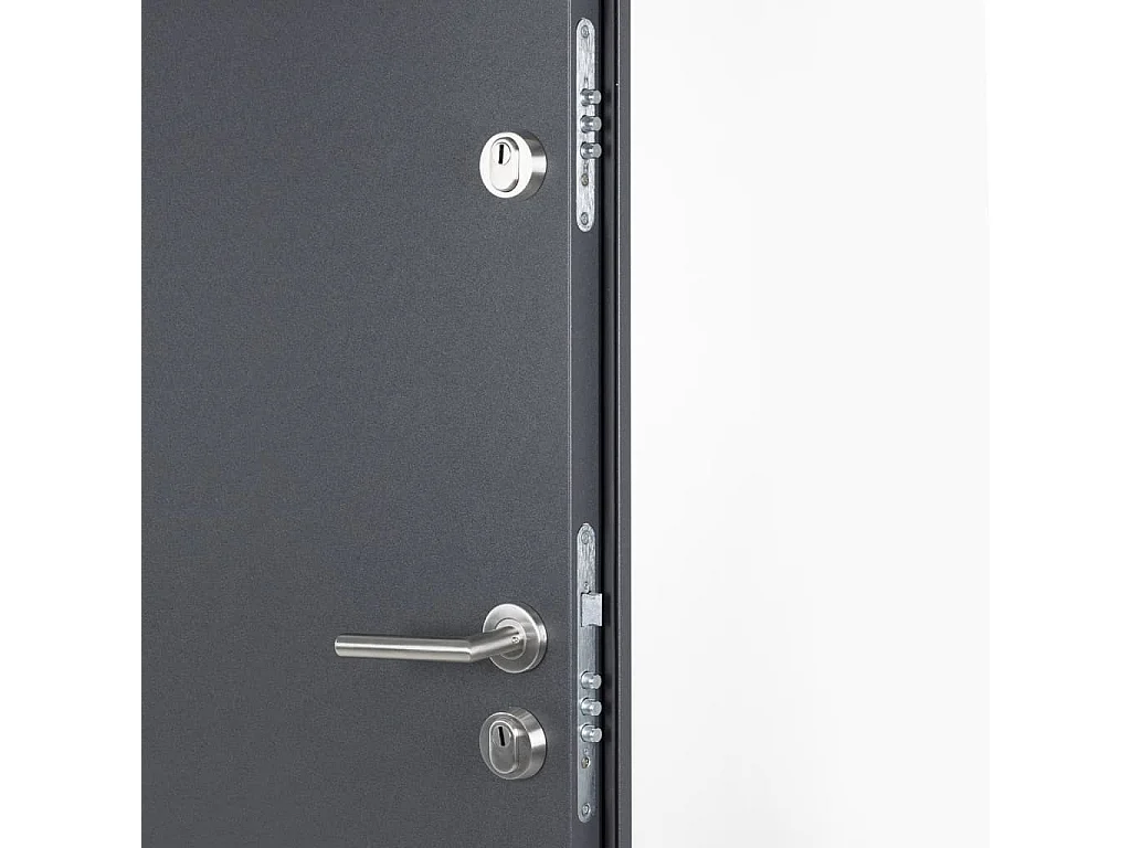 Porte d'entrée anthracite 100x200 cm aluminium