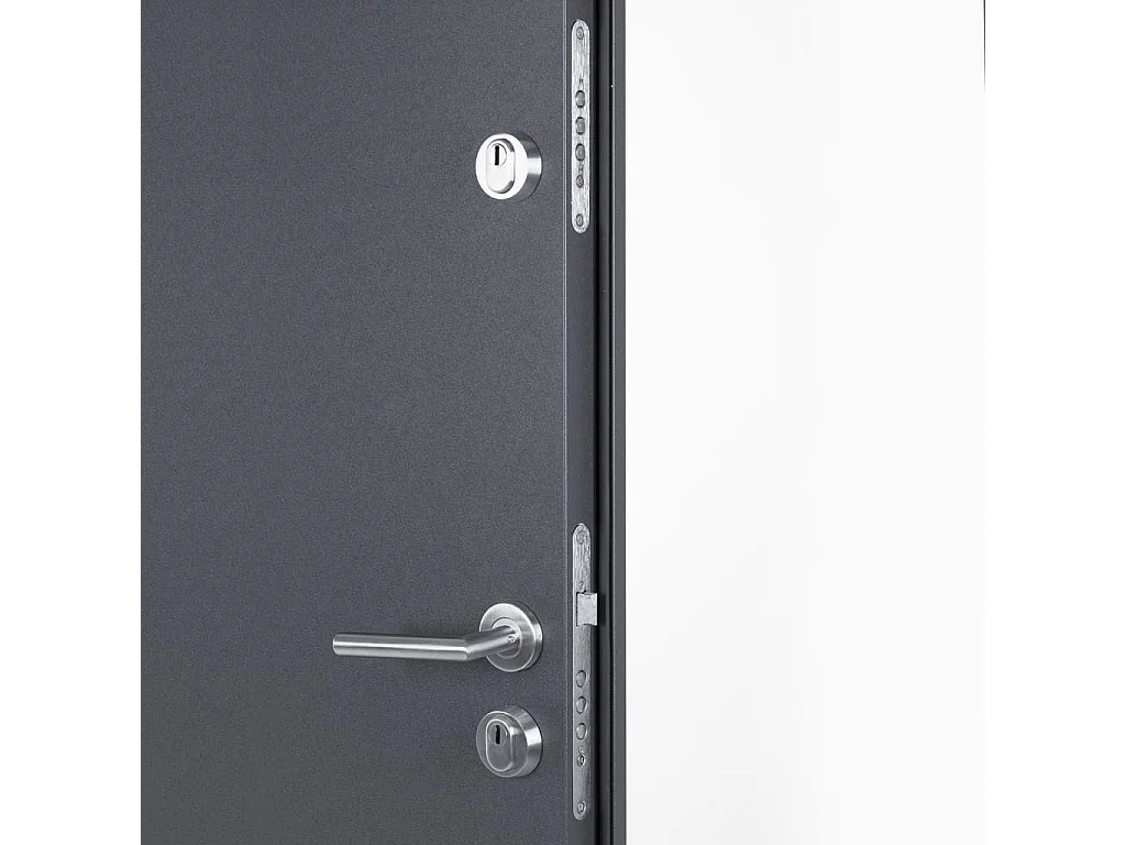 Porte d'entrée anthracite 100x200 cm aluminium