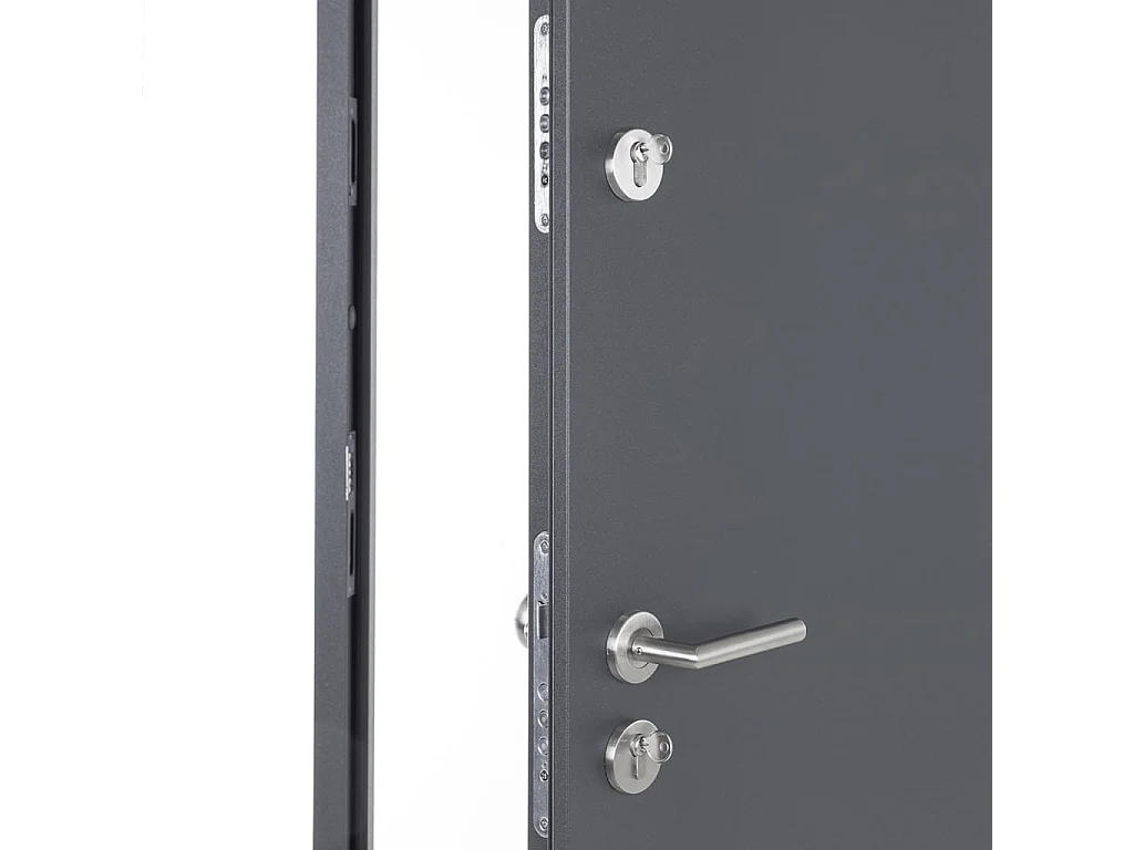 Porte d'entrée anthracite 100x200 cm aluminium