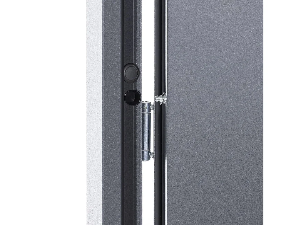 Porte d'entrée anthracite 100x200 cm aluminium