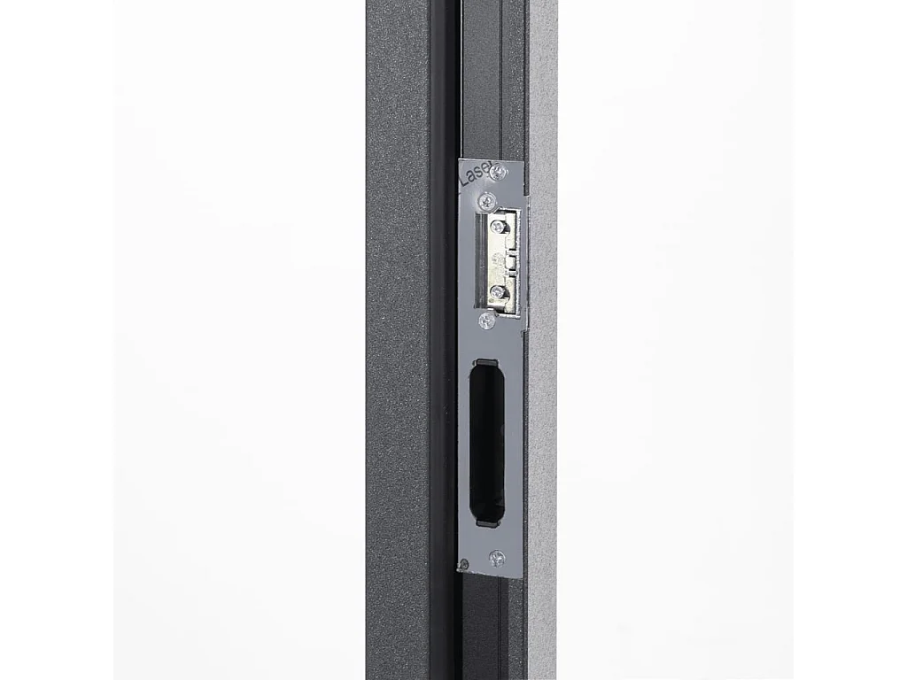 Porte d'entrée anthracite 100x200 cm aluminium