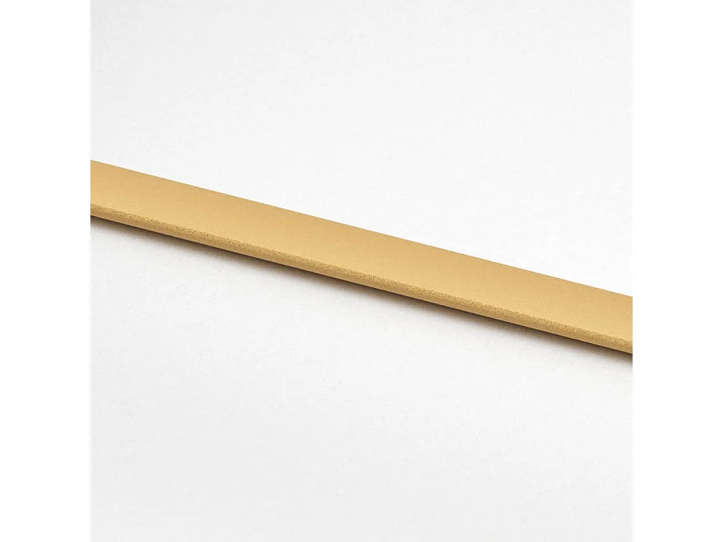 Goldene Schiebetür 90x205 cm, satiniertes ESG-Glas und Aluminium