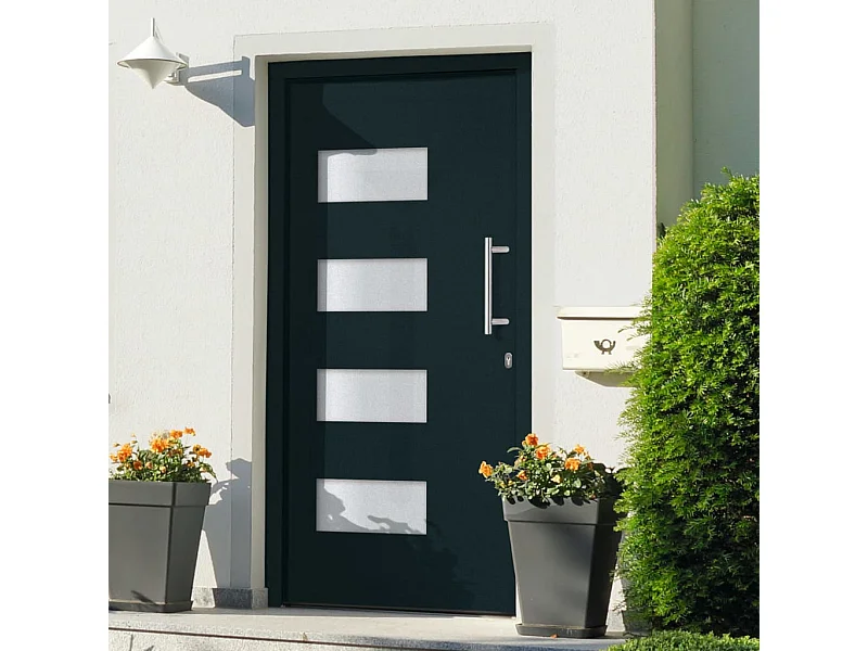 Porta d'ingresso Alluminio e PVC Antracite 110x210 cm