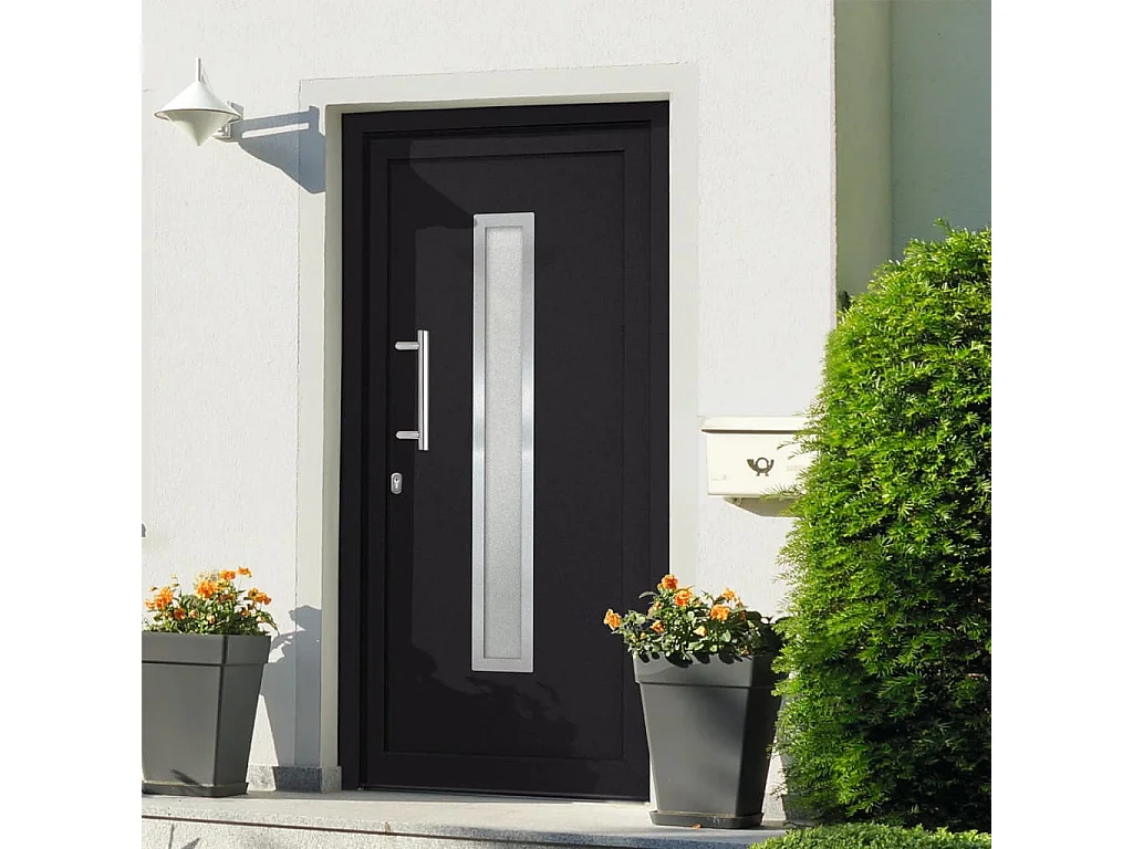 Porta d'ingresso antracite 108x200 cm