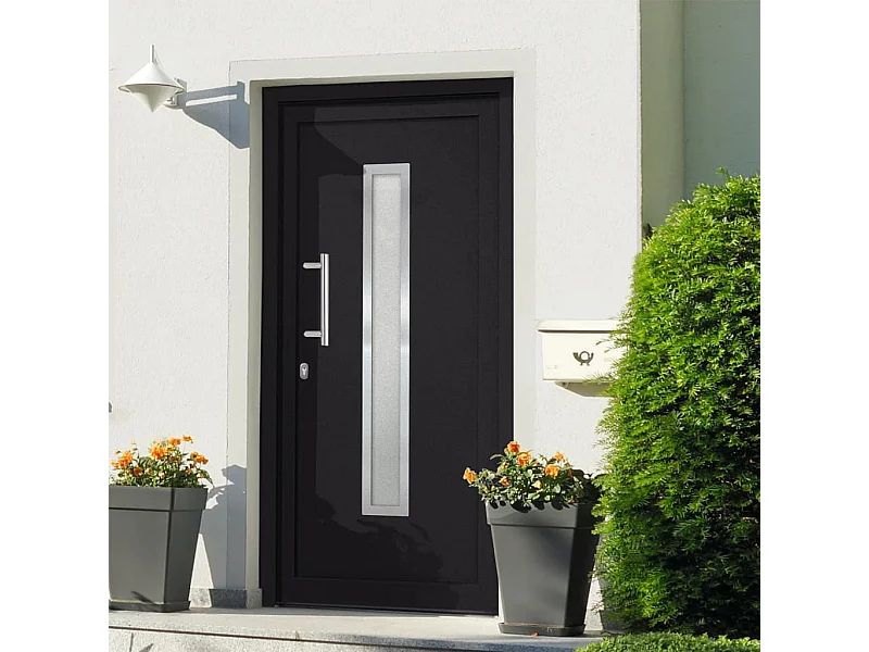 Porta d'ingresso antracite 108x200 cm