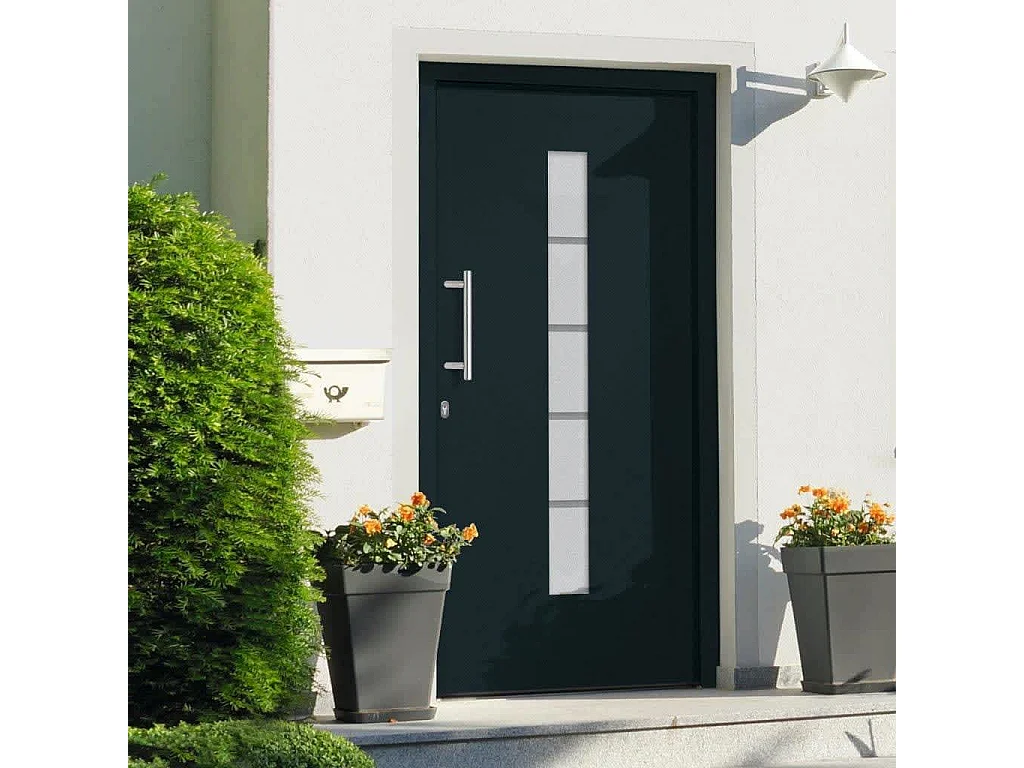 Porta d'ingresso Alluminio e PVC Antracite 110x210 cm