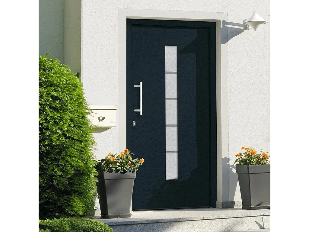Porta d'ingresso Alluminio e PVC Antracite 100x200 cm