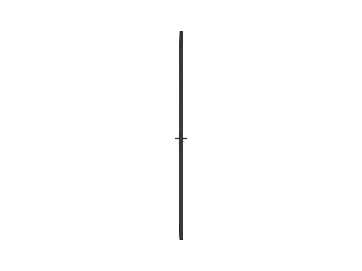 Innentür 76x201,5 cm Schwarzes ESG-Glas und Aluminium
