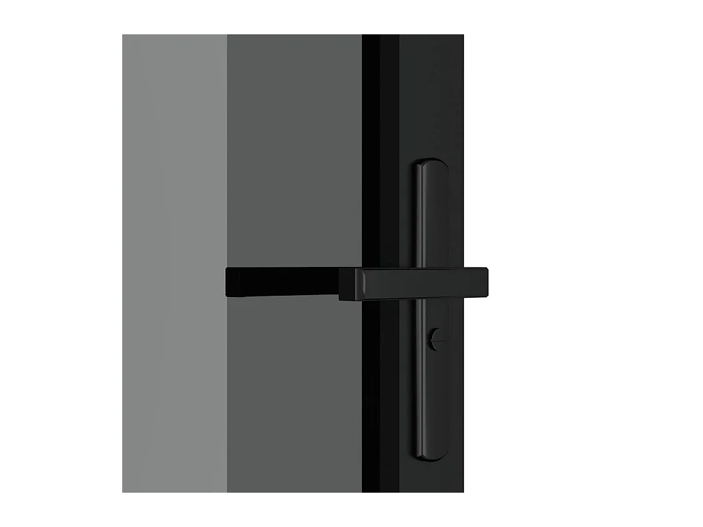 Innentür 76x201,5 cm Schwarzes ESG-Glas und Aluminium