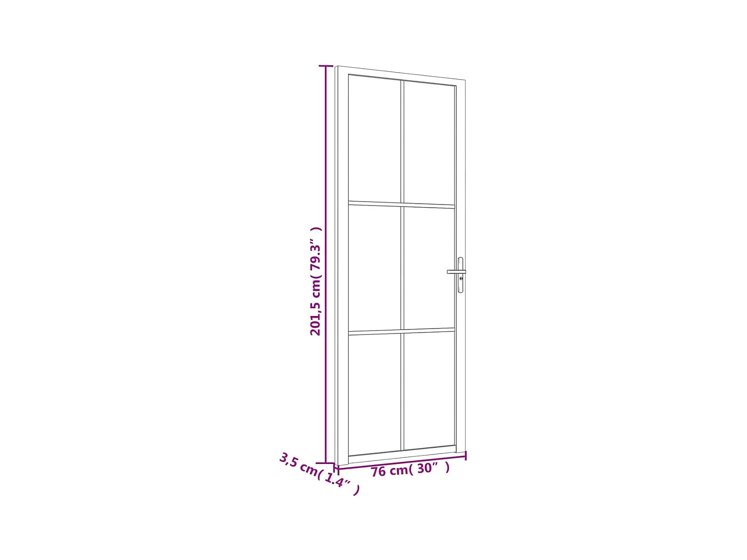 Innentür 76x201,5 cm Schwarzes ESG-Glas und Aluminium