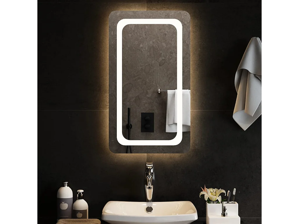 Specchio da Bagno con Luci LED 40x70 cm