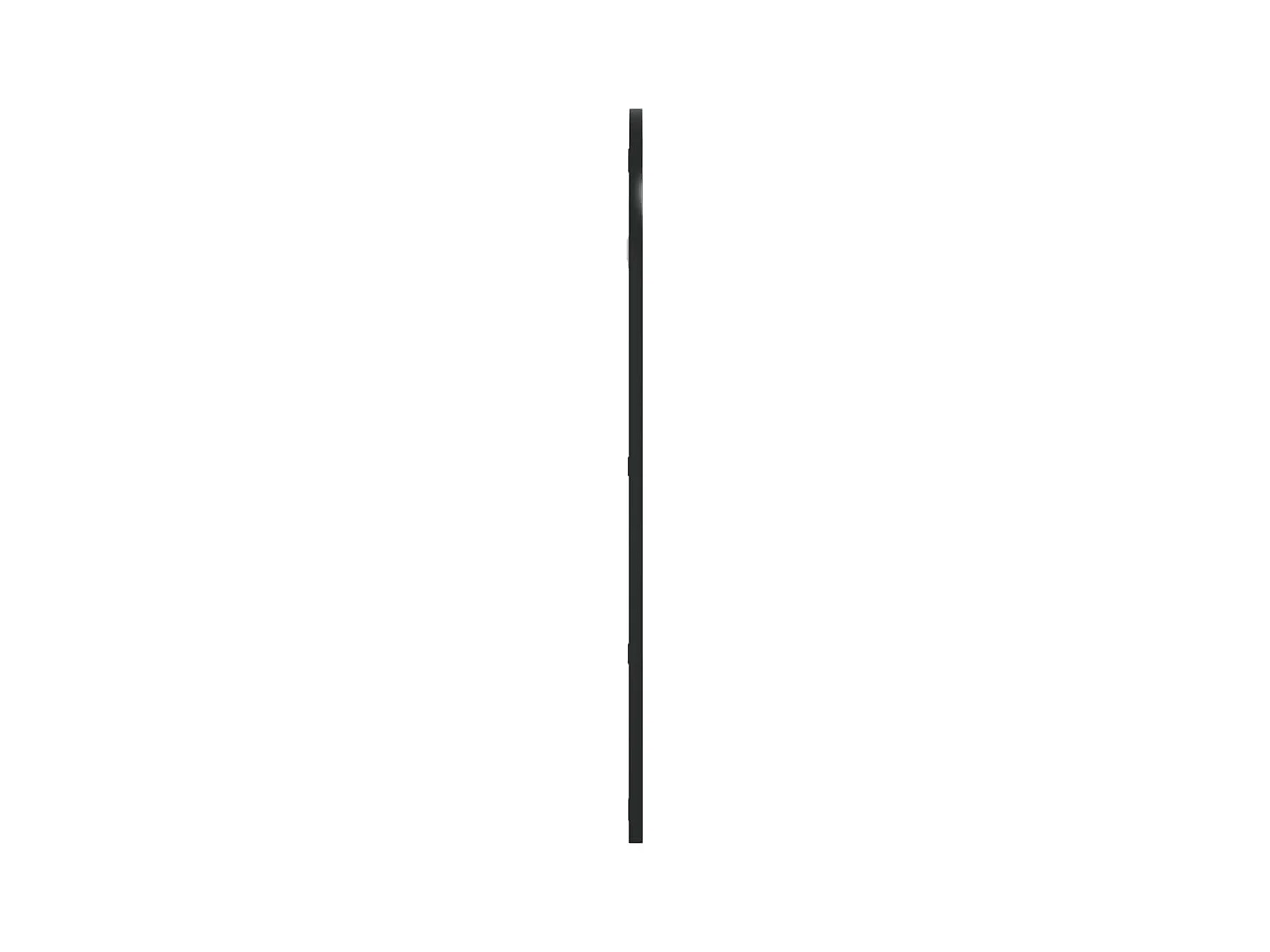 Specchio da Parete Nero 40x80 cm Arco in Ferro