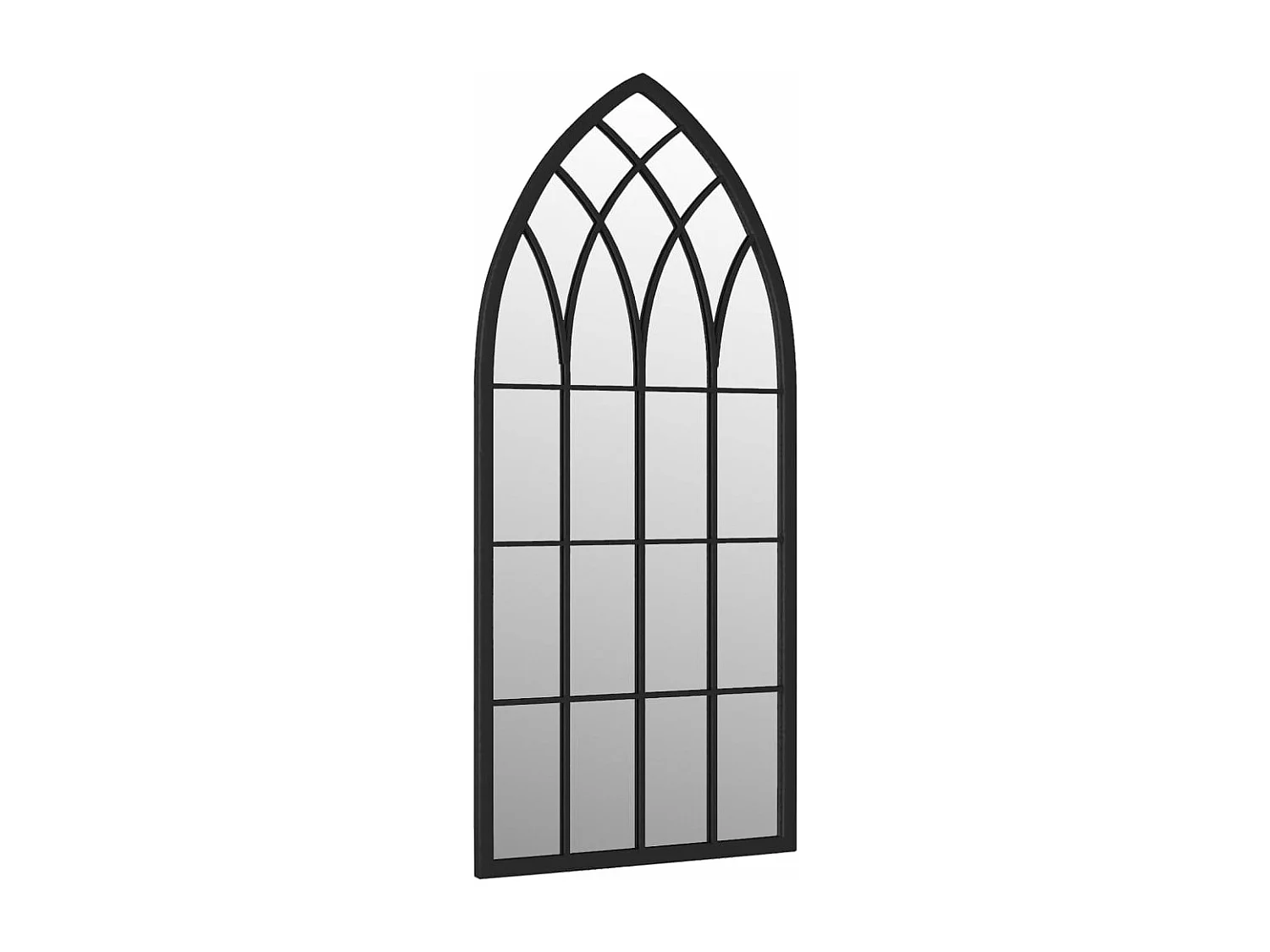 Miroir de jardin Noir 100x45 cm Fer pour utilisation extérieure