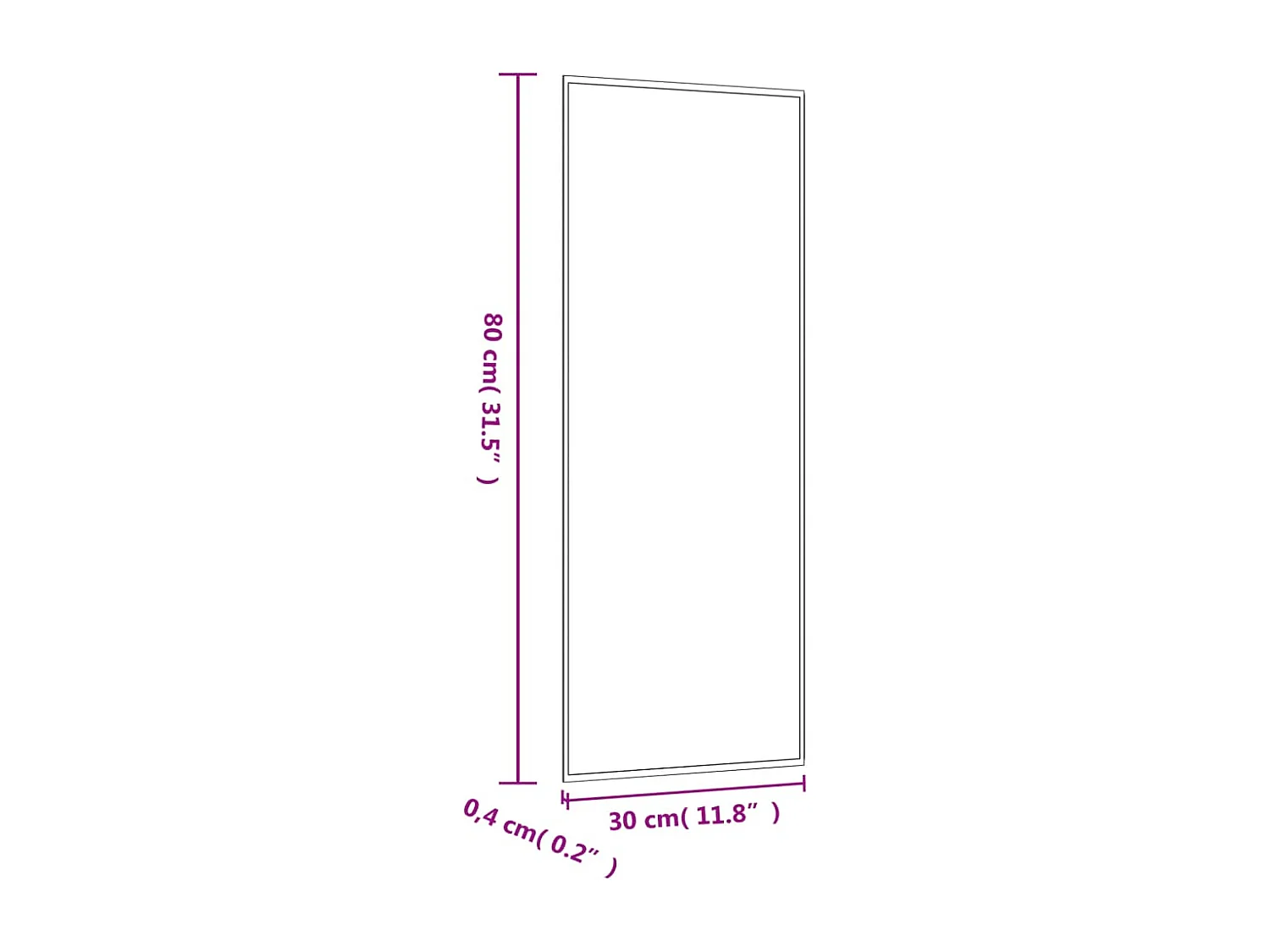 Specchio da Parete 30x80 cm Vetro Rettangolare