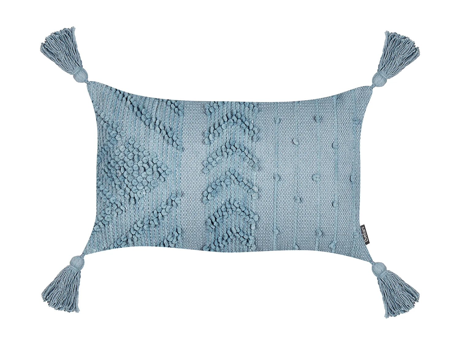 Lot de 2 coussins décoratifs VALVARIA Coton 30 x 50 cm Bleu Motif à chevrons