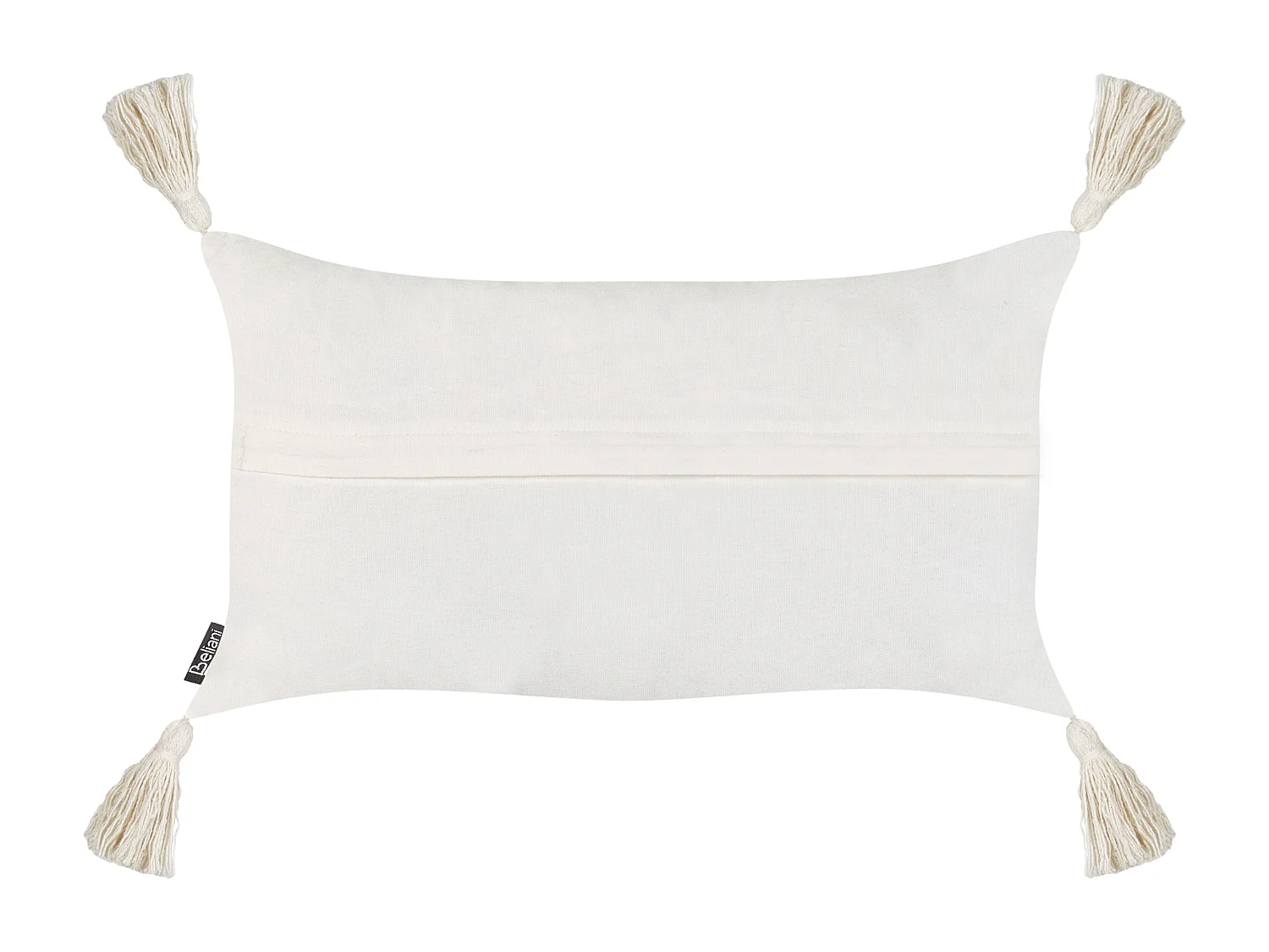 Lot de 2 coussins décoratifs VALVARIA Coton 30 x 50 cm Blanc cassé Motif à chevrons