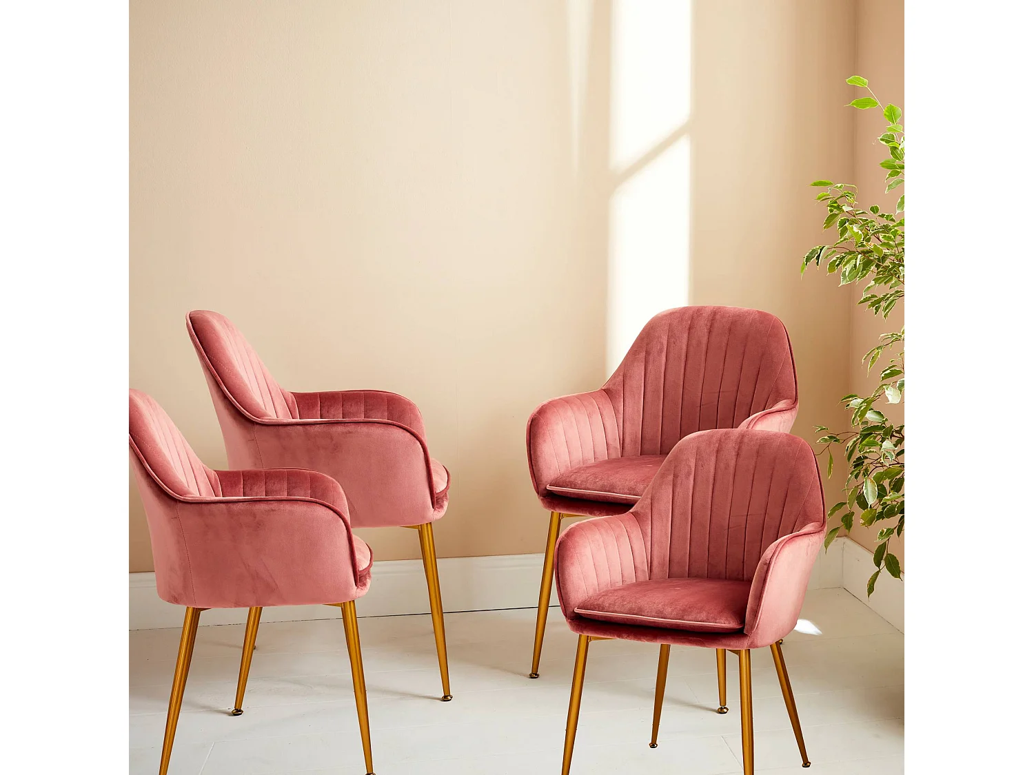 Lot de 4 fauteuils en velours vieux rose et pieds en métal noir. Shella L 57 x P 59 x H 84.5
