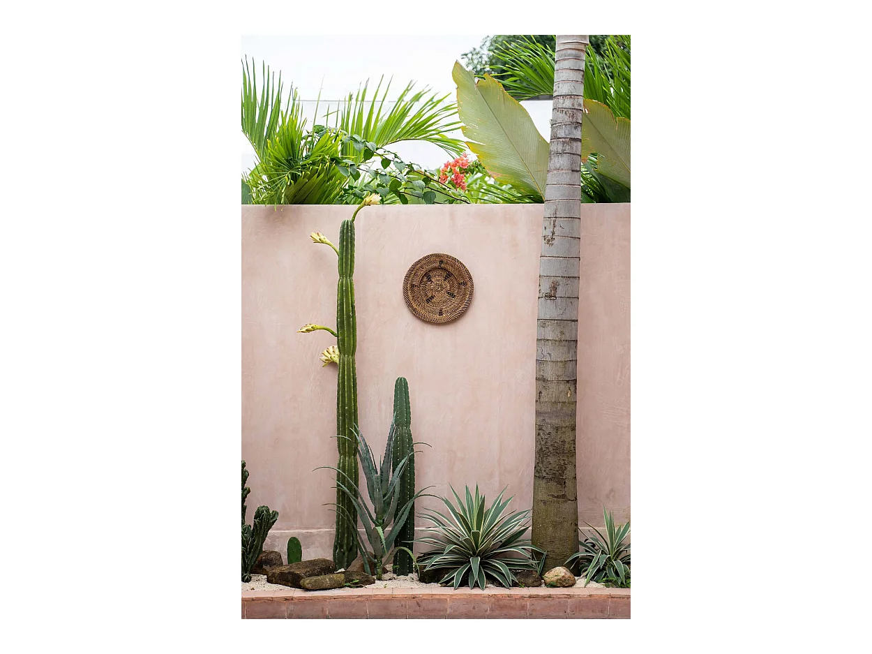 L'Assiette Jasmin - Marron - S