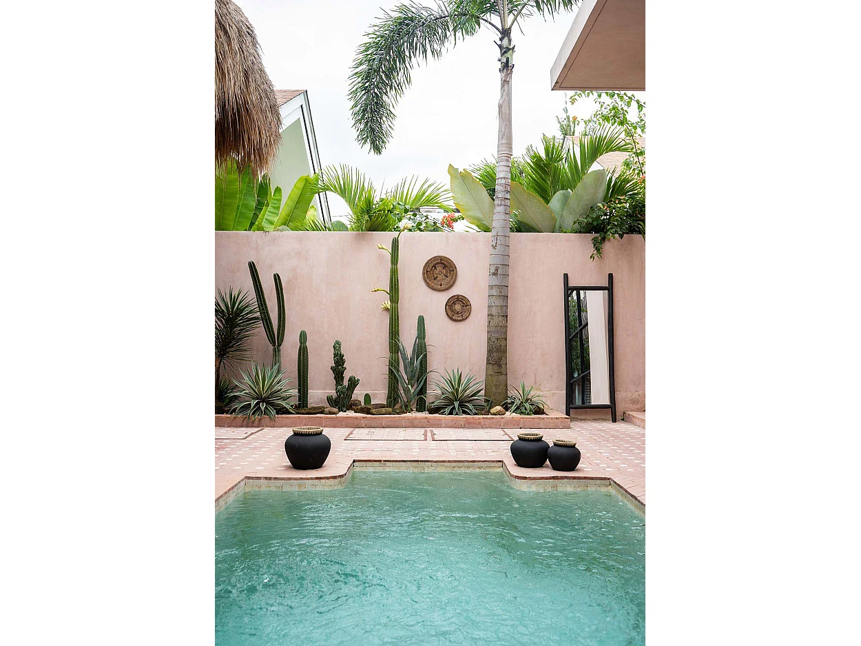 Der Jasminteller - Braun - S