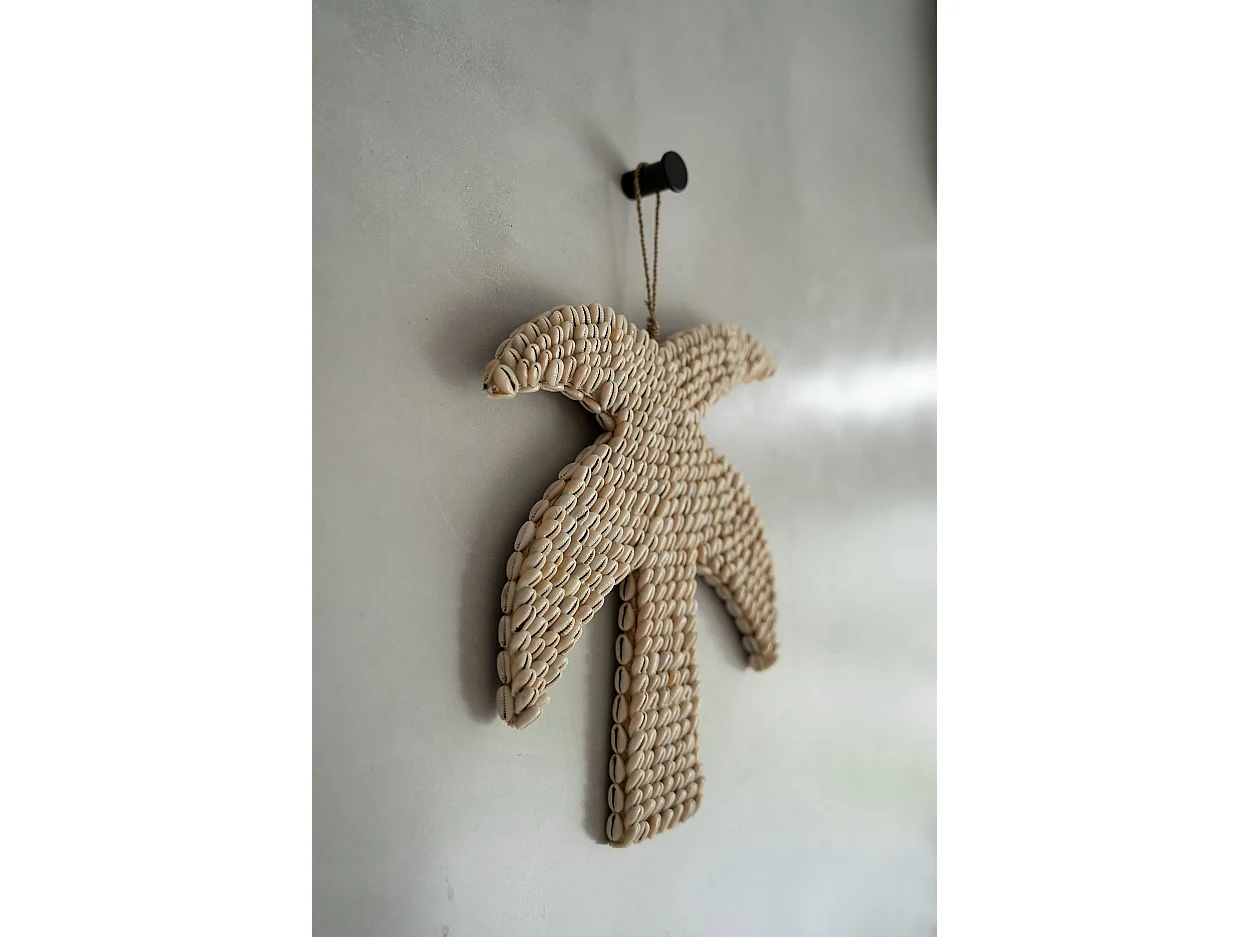 Die Muschelpalme - Natur