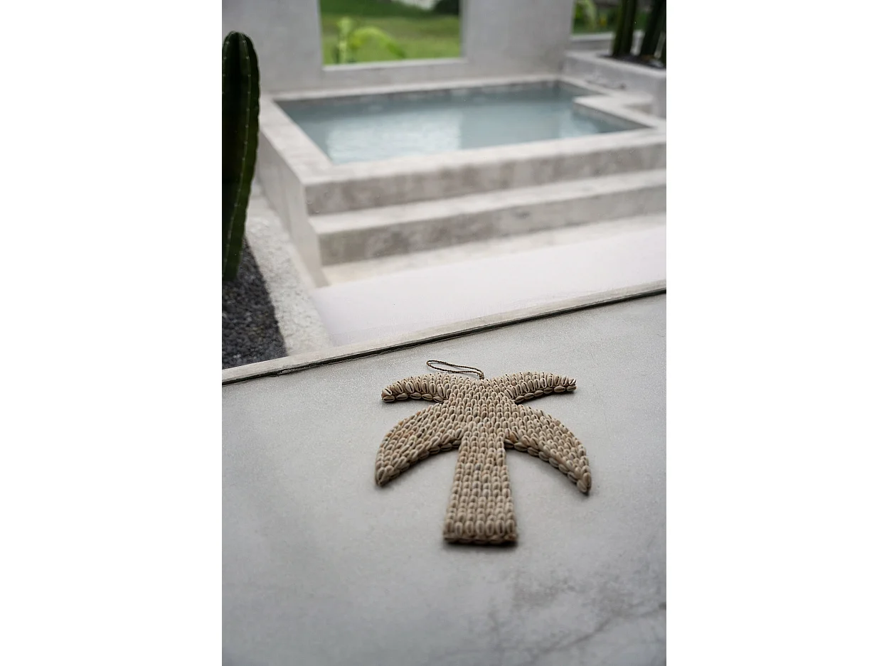 Die Muschelpalme - Natur