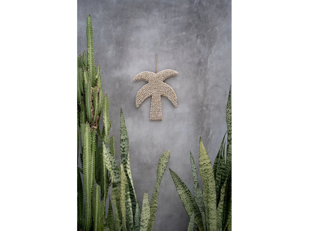 Die Muschelpalme - Natur