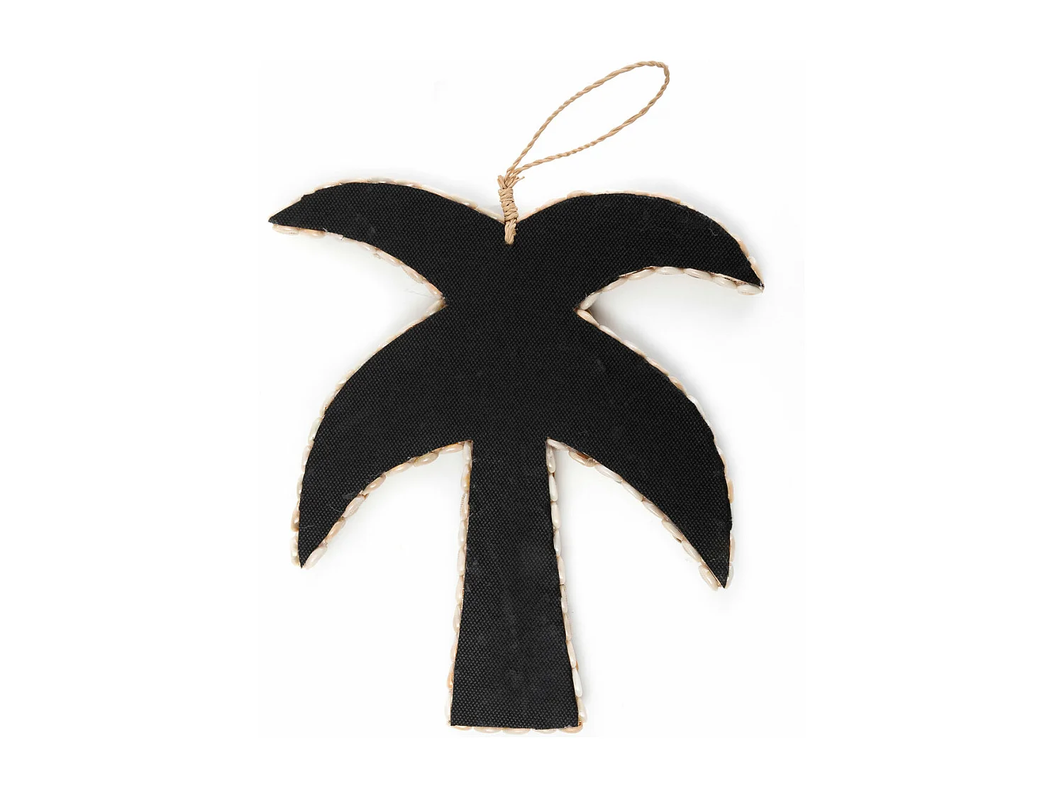 Die Muschelpalme - Natur