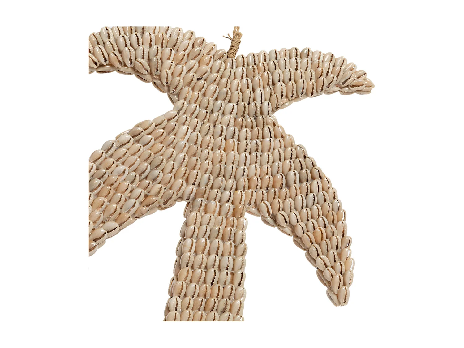 Le Palmier En Coquillages - Naturel