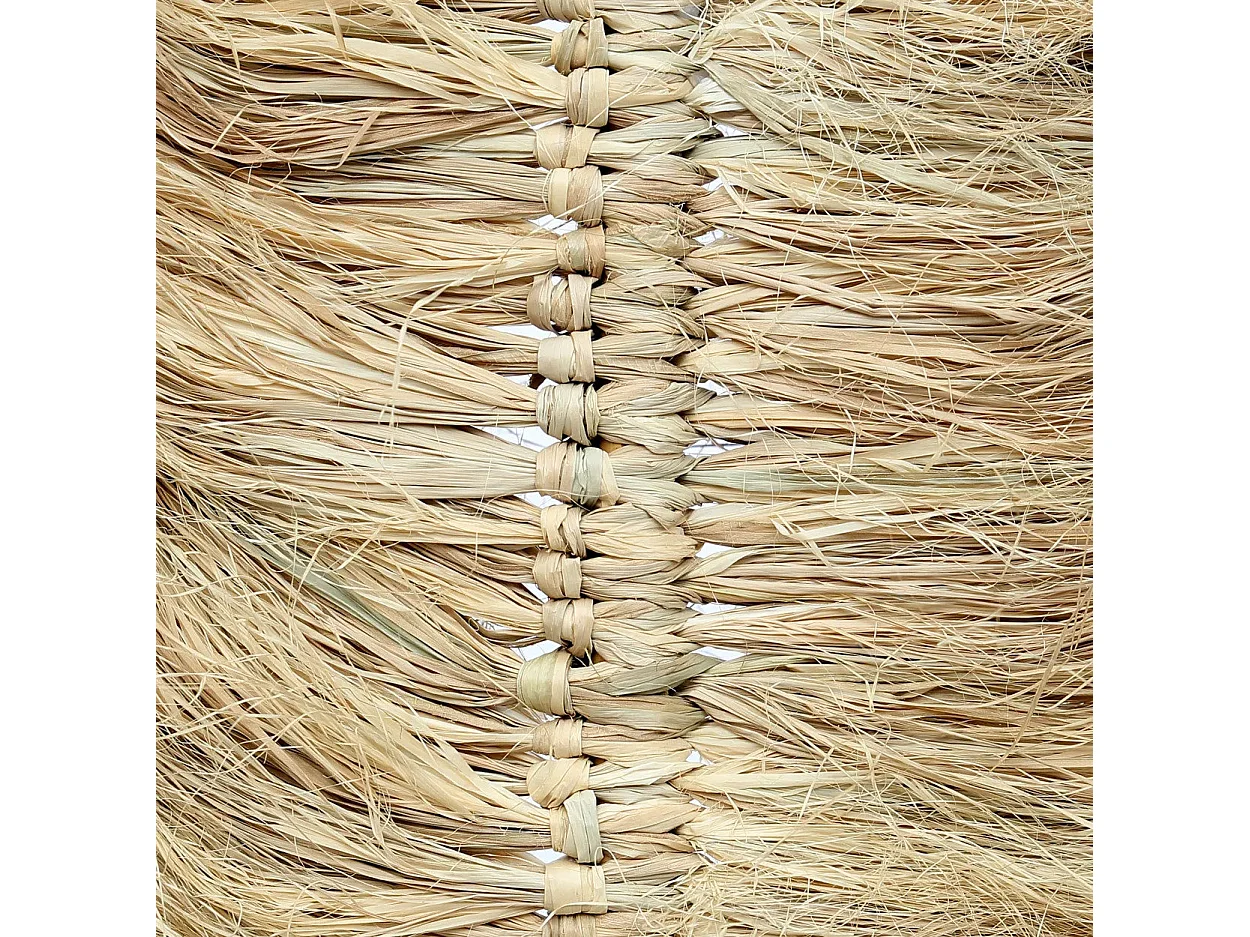 Die Raffia Palmeira - Natur