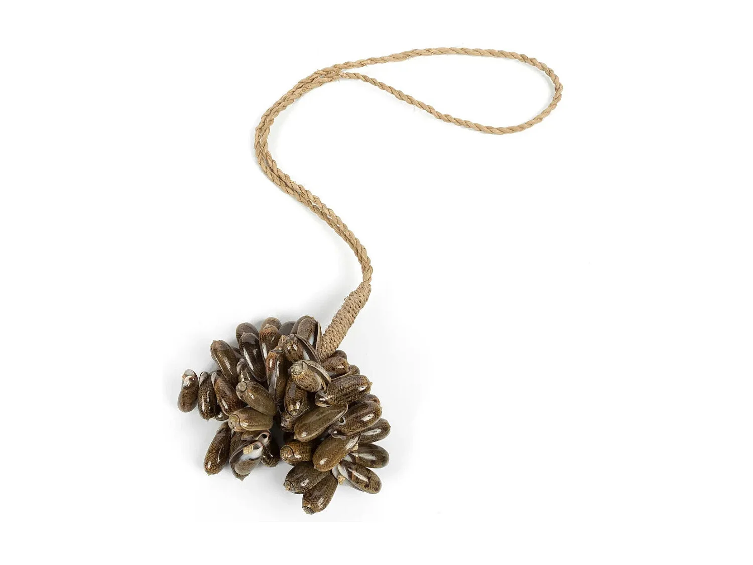 Le Pompon En Coquillage Cauri Marron