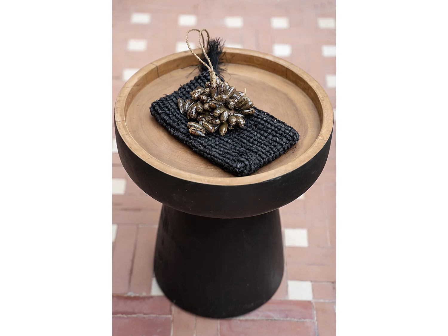 Die Braune Kauri-Muschel-Quaste