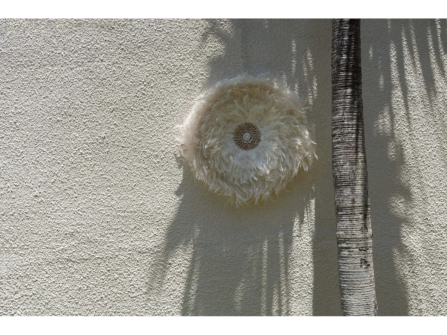 Coastal Juju - Blanc - L