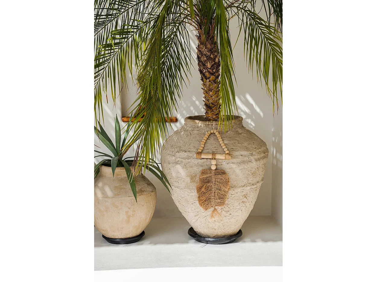 Le Triangle du Raphia