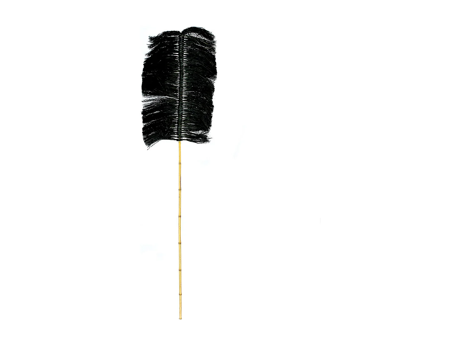 De Raffia Palmeira - Zwart