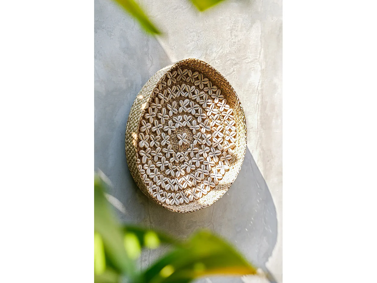 Der Costa Shell Teller - Naturweiß - M